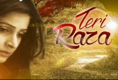 Teri Raza Zindagi Tv Upcoming serial wiki, Full Star-Cast and crew, Promos, story, Timings, TRP Rating, actress Character Name, Photo, wallpaper