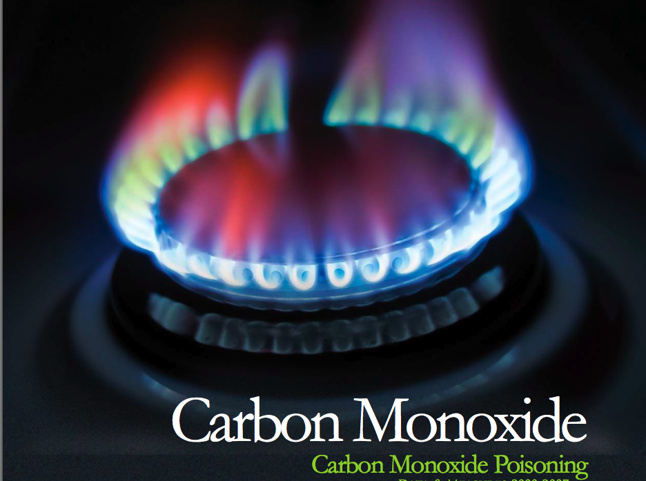 LIFE'S ADVENTURE Gross Food Item Ingredients!!!