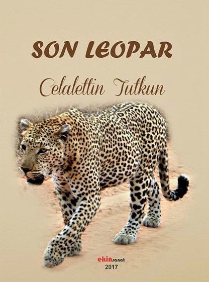 Celalettin Tutkun Egitimci Yazar Son Leopar