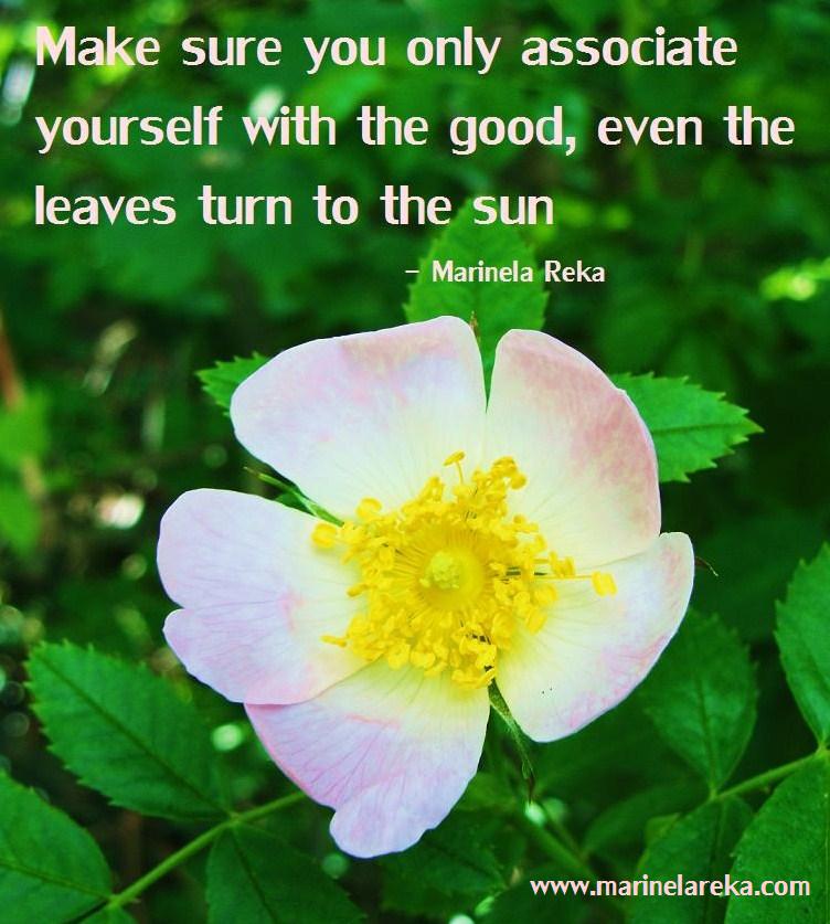 Funny Pictures Gallery good quotes and sayings, good quotes sayings