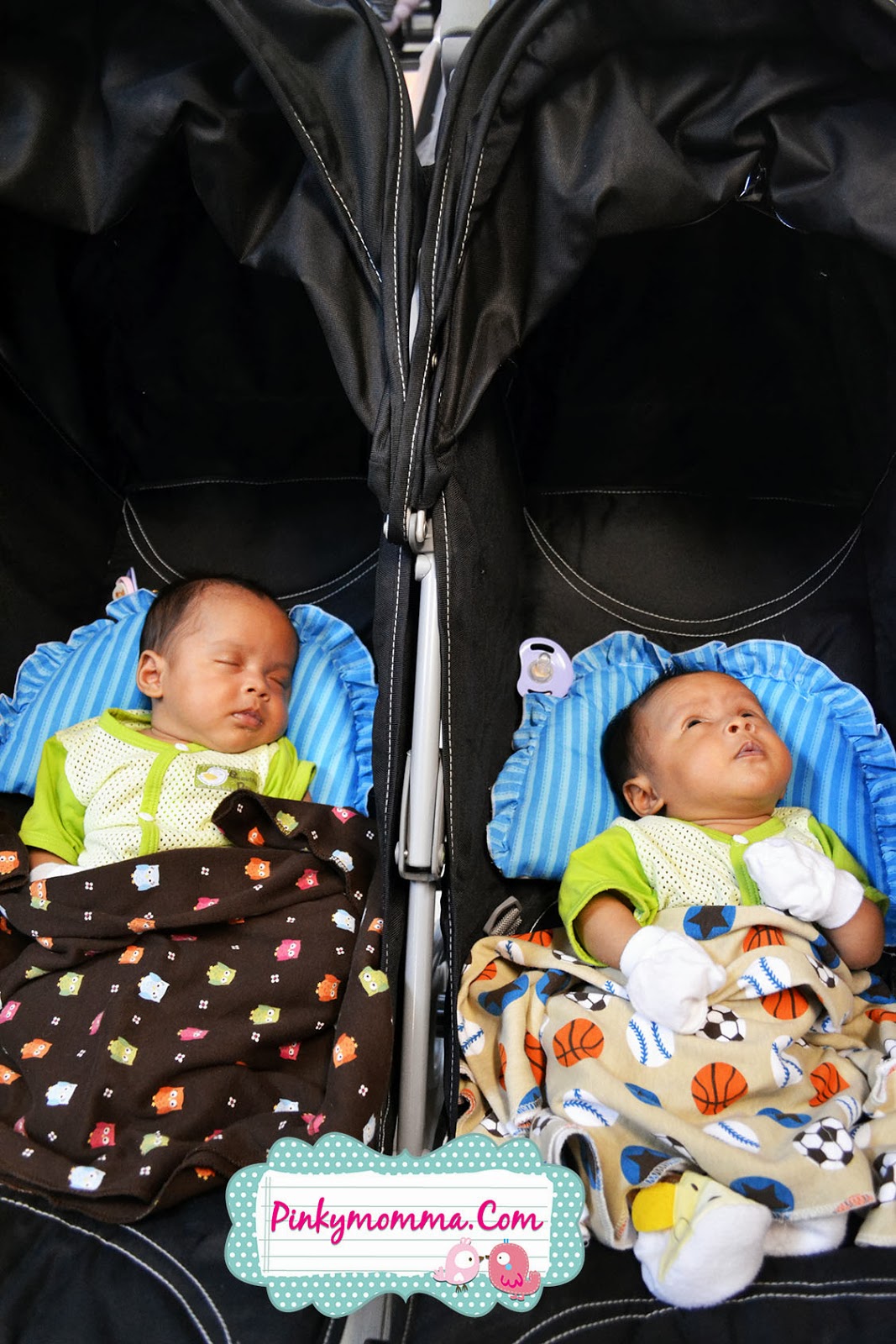 stroller kembar murah