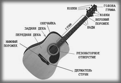 Виды гитар схема