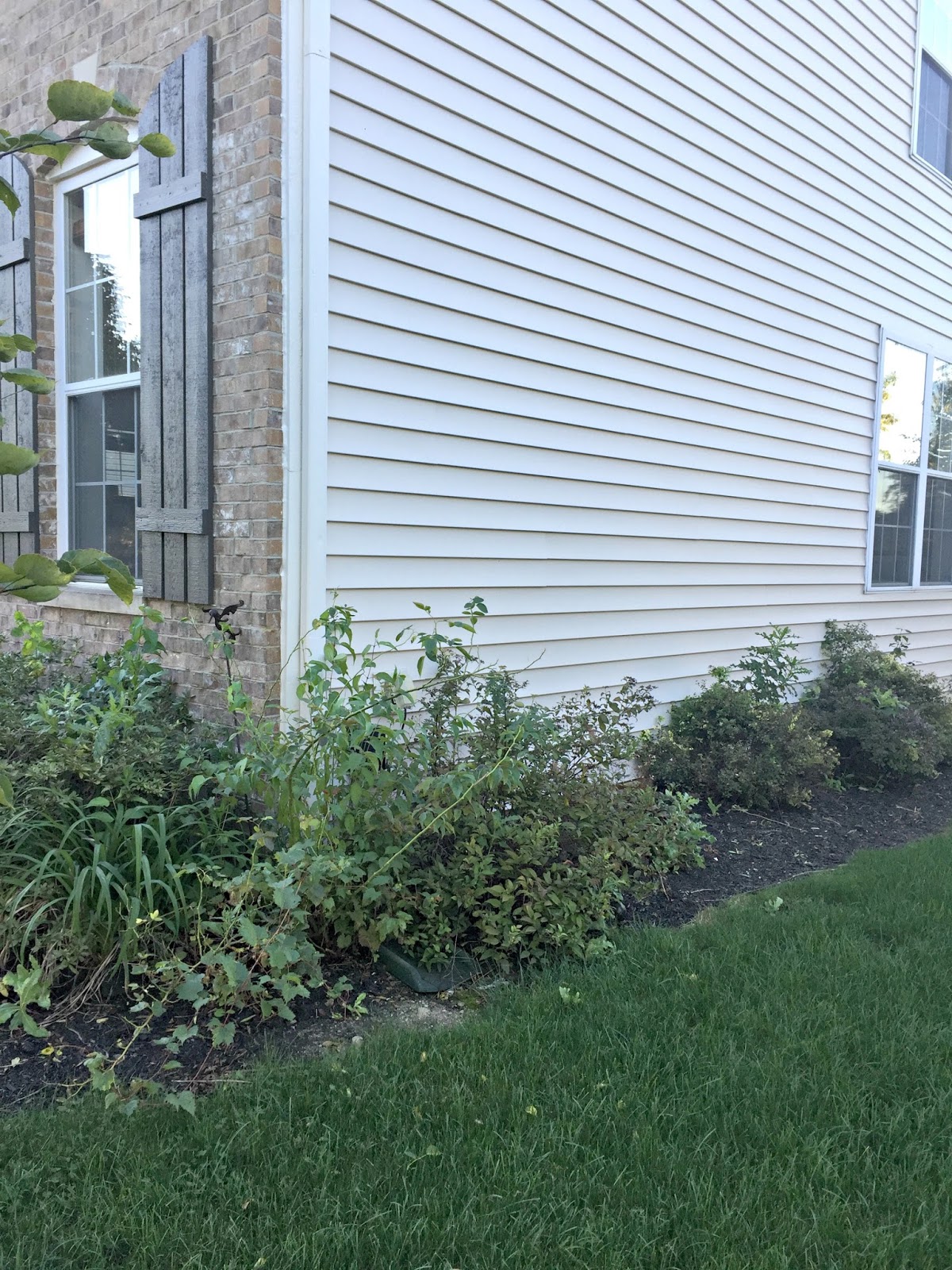 The Stubborn Gardener