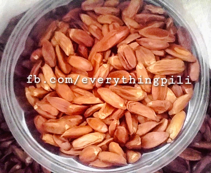 The Pili Nut Pili Nuts