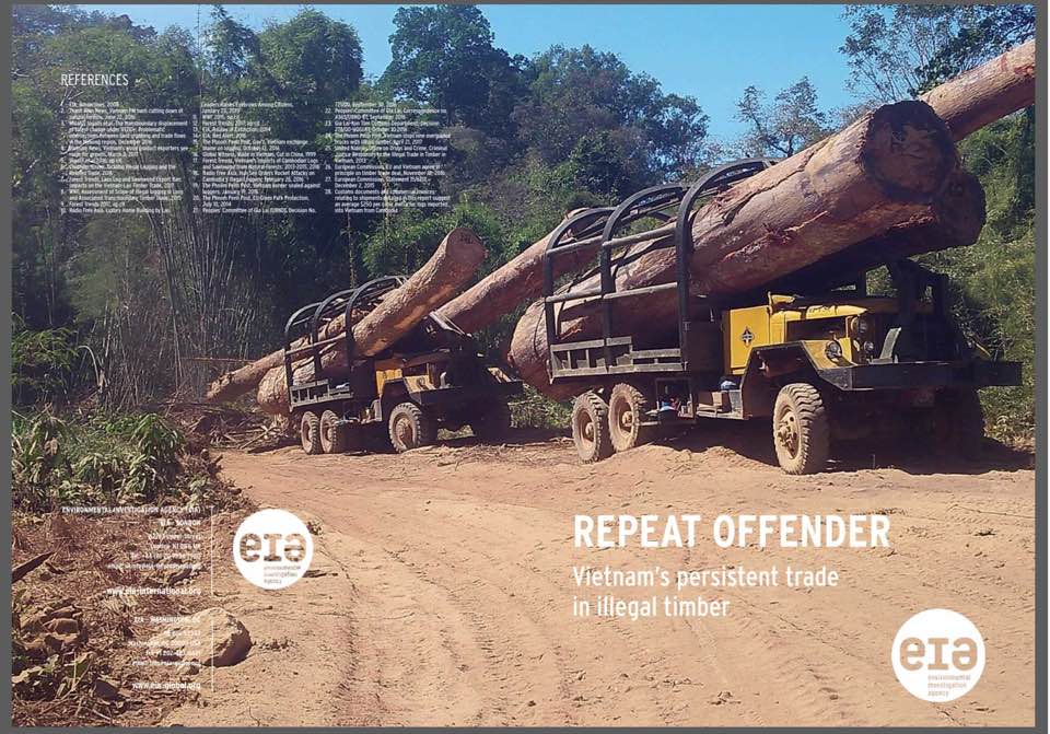 REPEAT OFFENDER: Vietnam's Persistent Trade in Illegal Timber