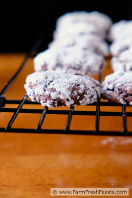 Roasted beets in a tender and chocolatey crinkle cookie.