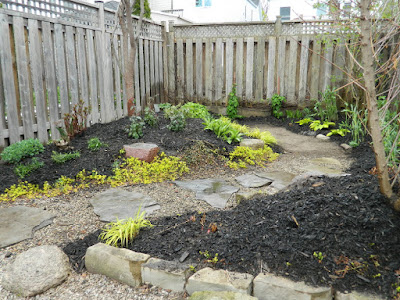 Coxwell Danforth backyard renovation after Paul Jung Gardening Services Toronto