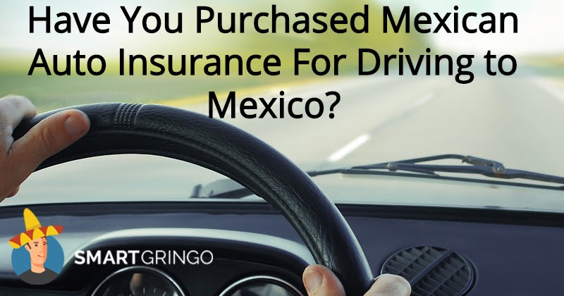 Have You Purchased Mexican Auto Insurance For Driving To Have You Purchased Mexican Auto Insurance For Driving To
