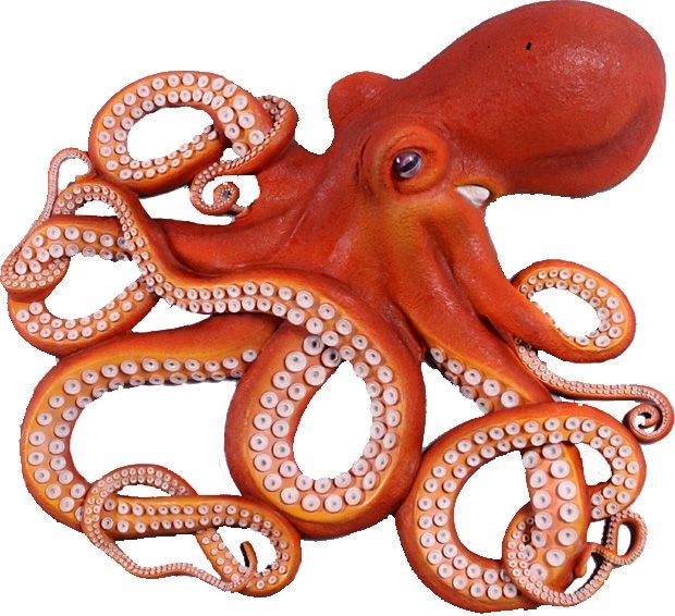 health benefits of octopus health benefits