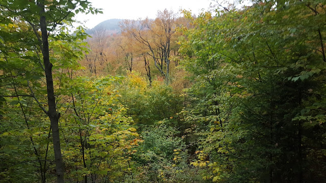 Point de vue #5 Point de vue lors de la montée du mont Chauve