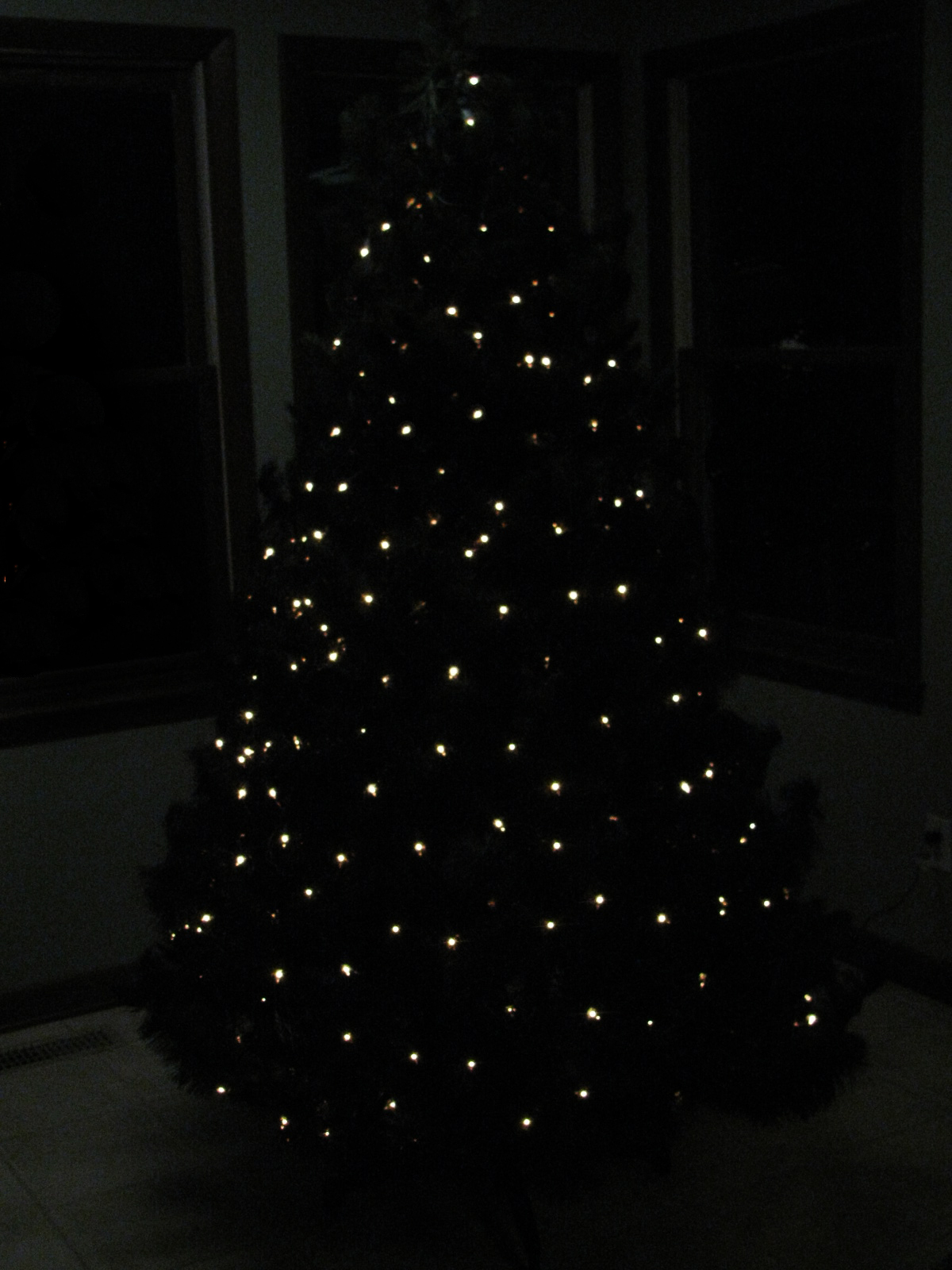 A Practical Pair: Christmas Tree Net Lighting