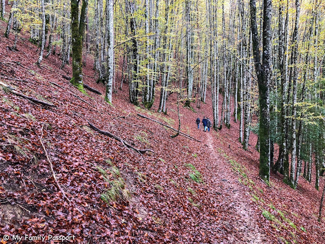 Navarra con niños