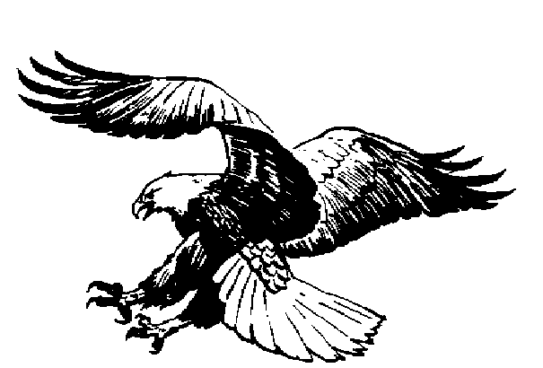 clipart of eagles flying - photo #40