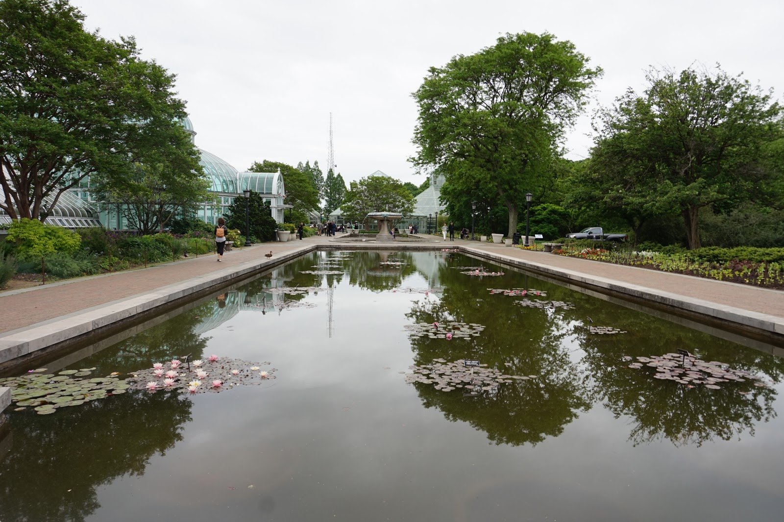 Jardín Botánico de Brooklyn ~ A new au pair in the USA