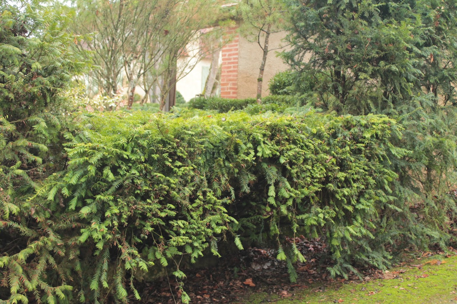 Cocoon Garden Y A Comme Un Hic