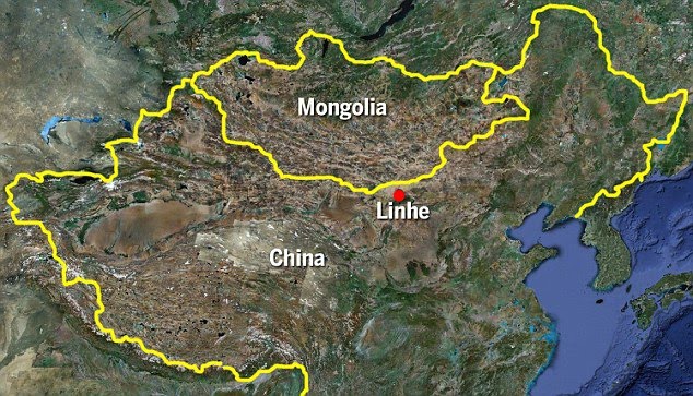 Linhenykus monodactylus