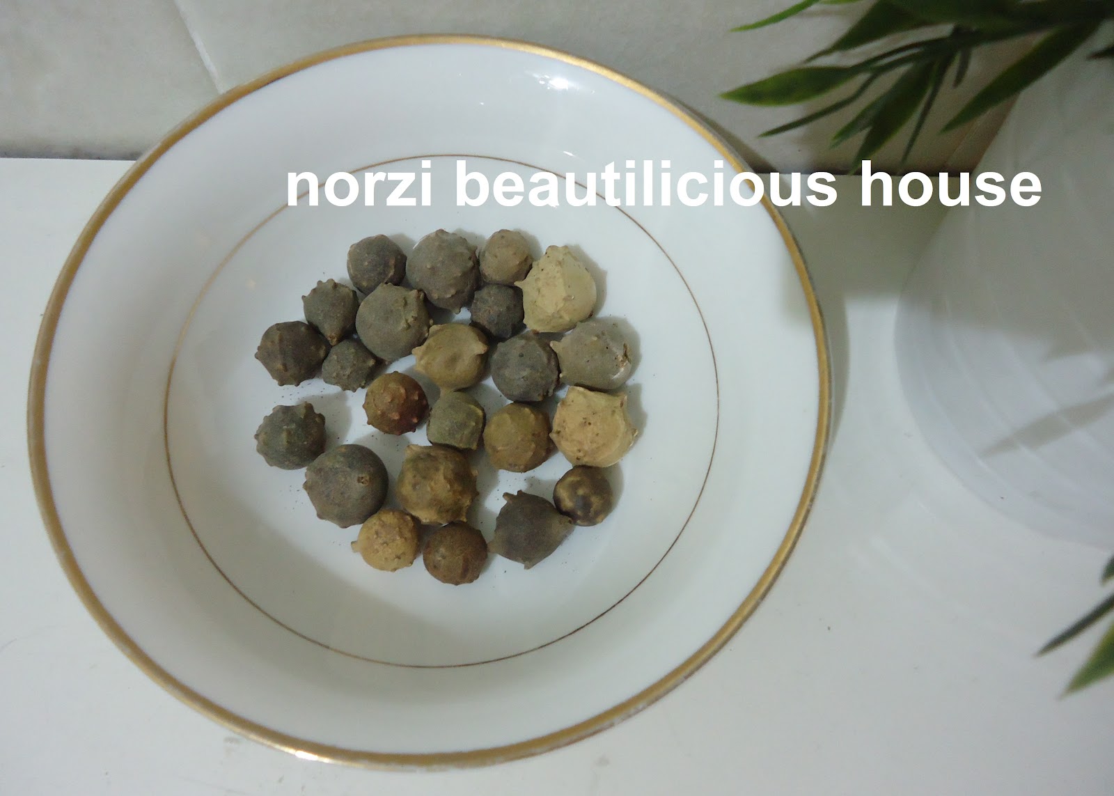 Norzi Beautilicious House: KHASIAT MANJAKANI ASLI