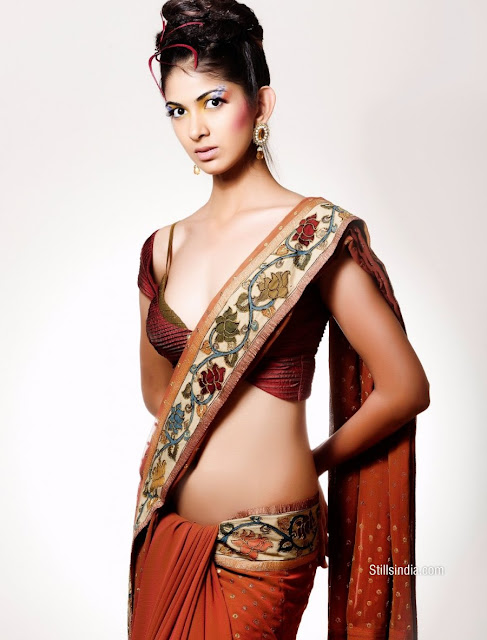 Indian Celeb » Actress Reha in Saree