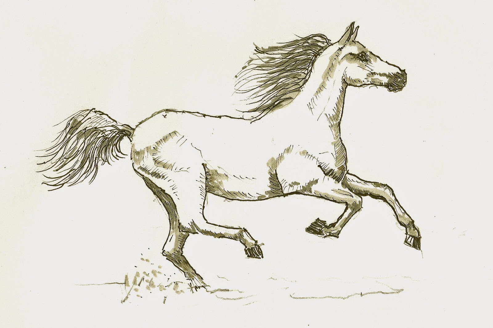 galloping horse coloring pages - photo #14