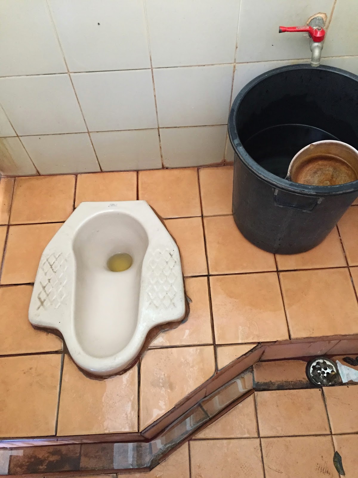 Rock the Kasbah Pad Thai & Toilets