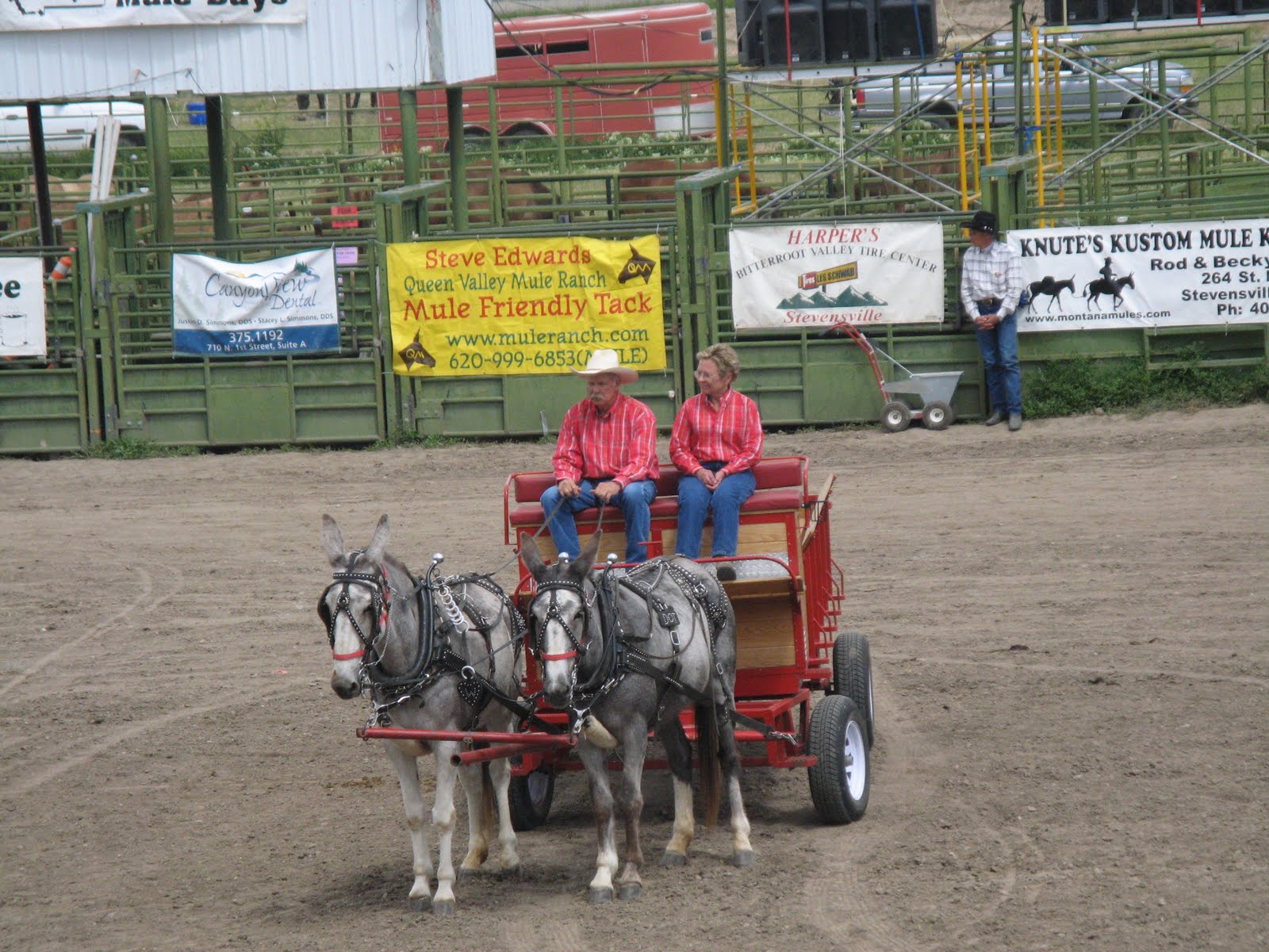 Intermountain Draft Horse and Mule Association Montana mule days