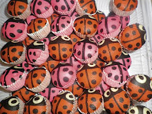 APAM LADYBIRD