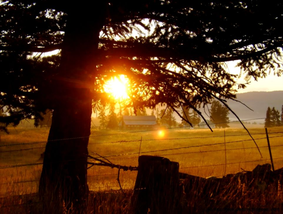 Wunder Blog Archive  Weather Underground