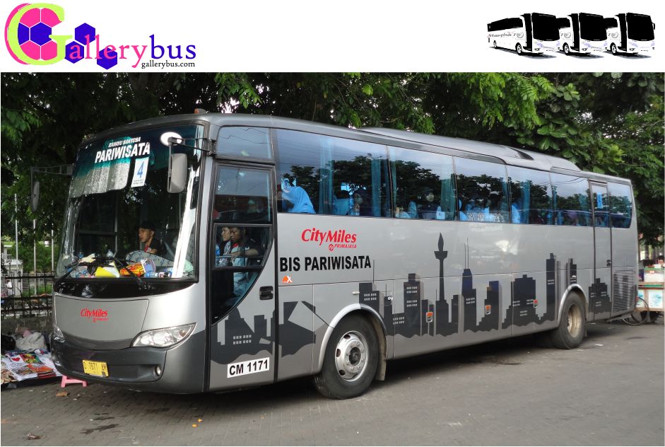 City Miles: Menggagas Revolusi Kenyamanan dan Kemewahan dalam Pariwisata Bus di Indonesia
