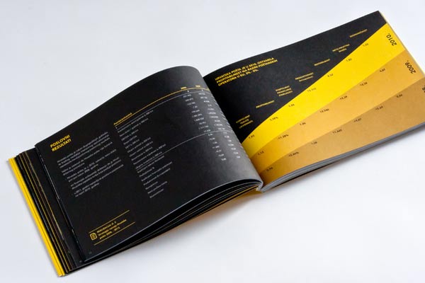 annual report design