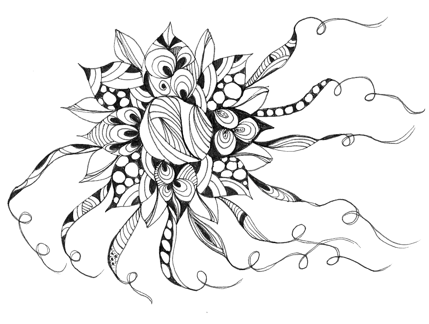 721 Best Zentangles Images Zentangle Patterns Tangle Patterns