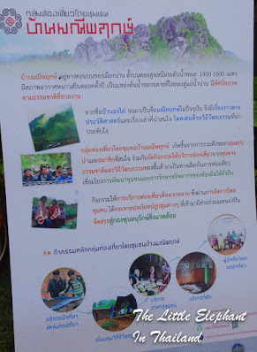 Coffee Market in Nan, North Thailand