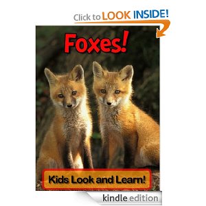 The Wild Life of the Fox by John Lewis-Stempel The Wild Life of the Fox by John Lewis-Stempel