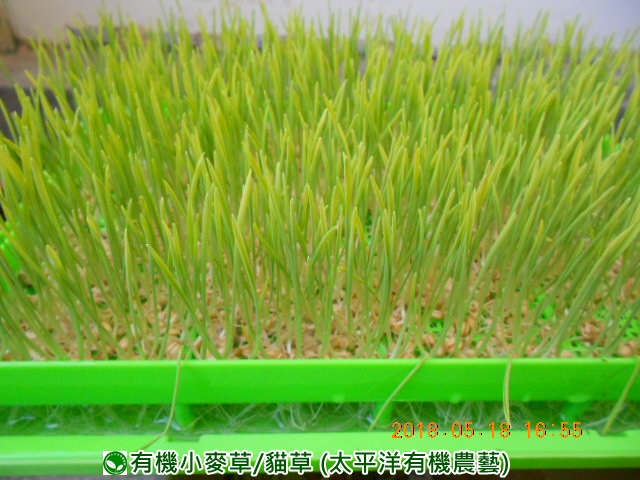 �p��,�߯�ش�,�߯�شӤ�k,�߯�,�߯�O����,�߯�diy,�߯�p����,�߯����,�^�K���@�k,�ؿ߯�