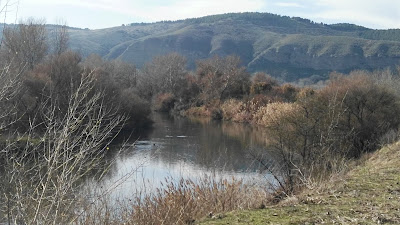 Río Jarama, Velilla de San Antonio, PArque Regional Sureste, excursiones, guía.