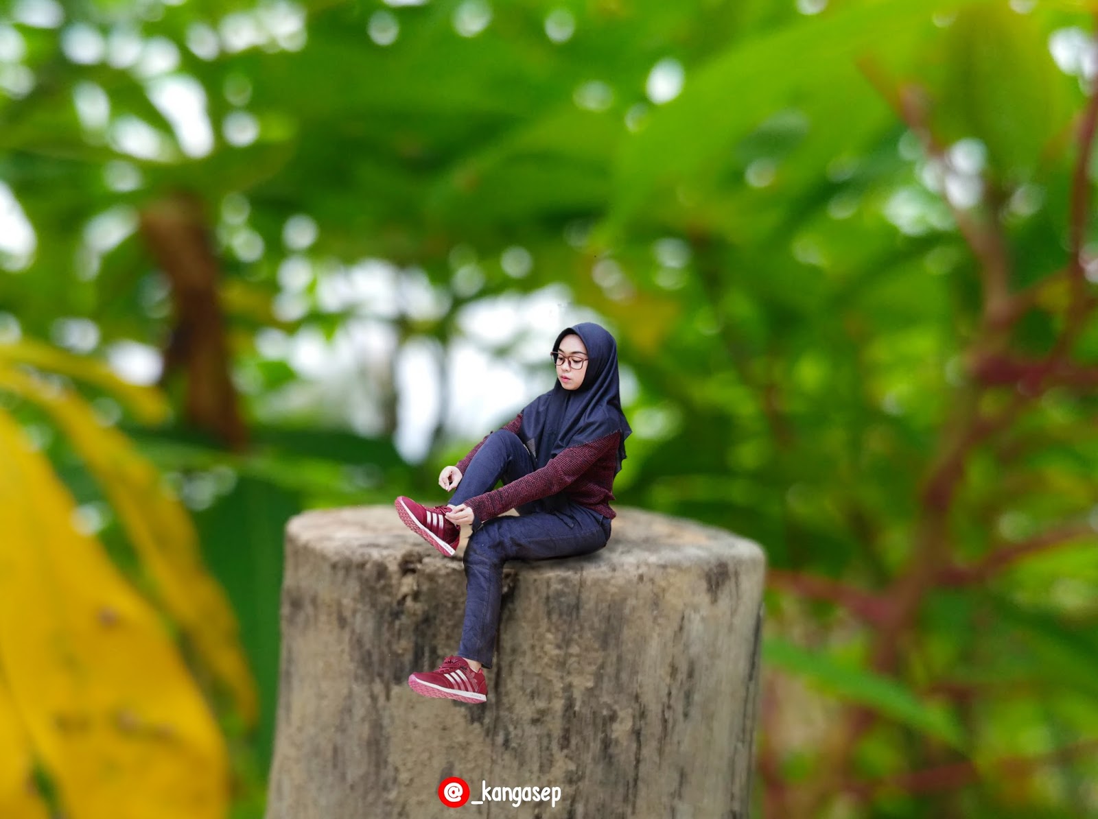 13+ Png Background Banner Keren Kekinian Pictures