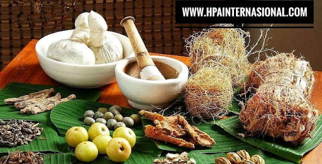 http://www.hpainternasional.com/2020/03/berbagai-macam-tanaman-herbal-dan.html