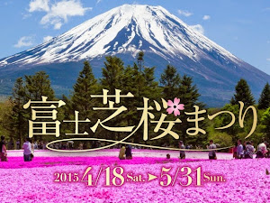  2015 Fuji shibazakura Festival will start at 18 Apr to  31 May. The table below was the flowering season of  Fuji shibazakura Festival, inf...