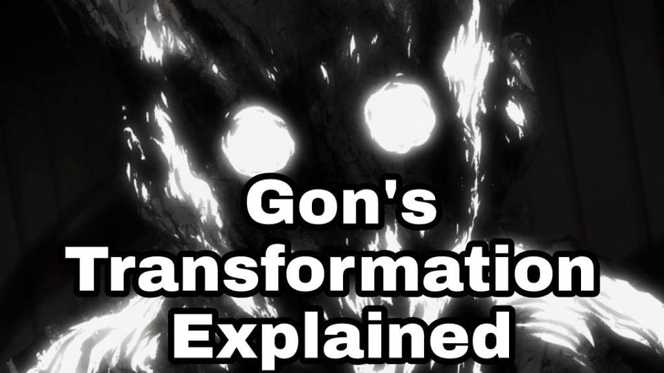 Gon S Transformation Explained Gon S Transformation Explained