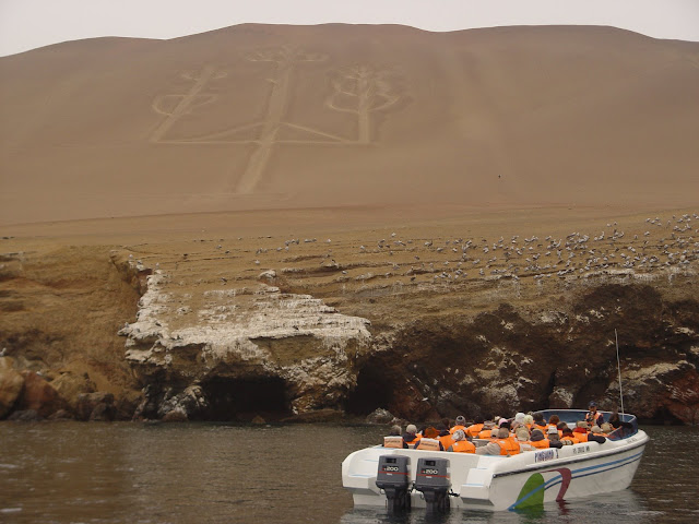 Visitar as ILHAS BALESTRAS, ou como lhe chamam, as "Galápagos dos Pobres"| Peru