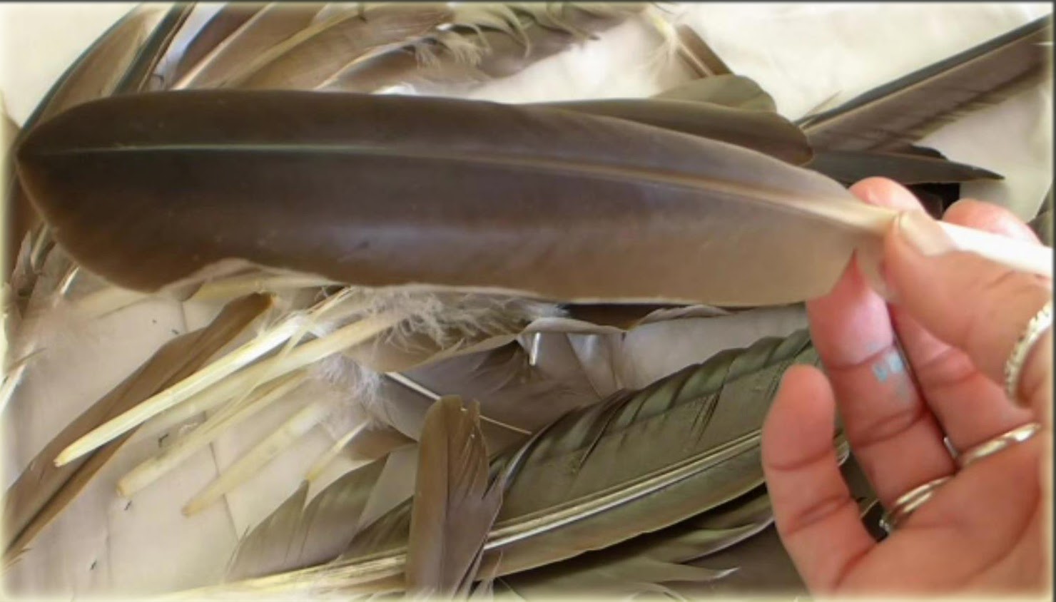 EasyMeWorld How To Make A Feather Pen A Gift Idea