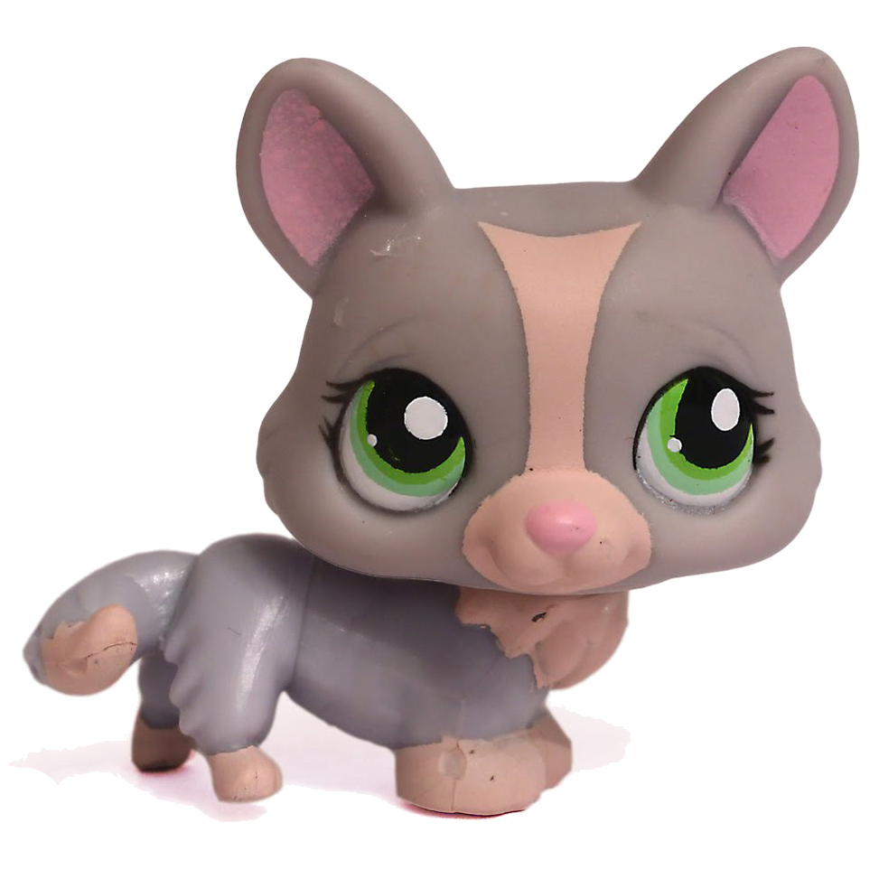 LPS Database Search LPS Merch