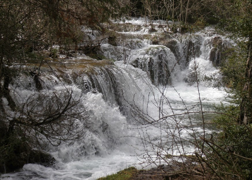 NACIMIENTO DEL RÍO CUERVO