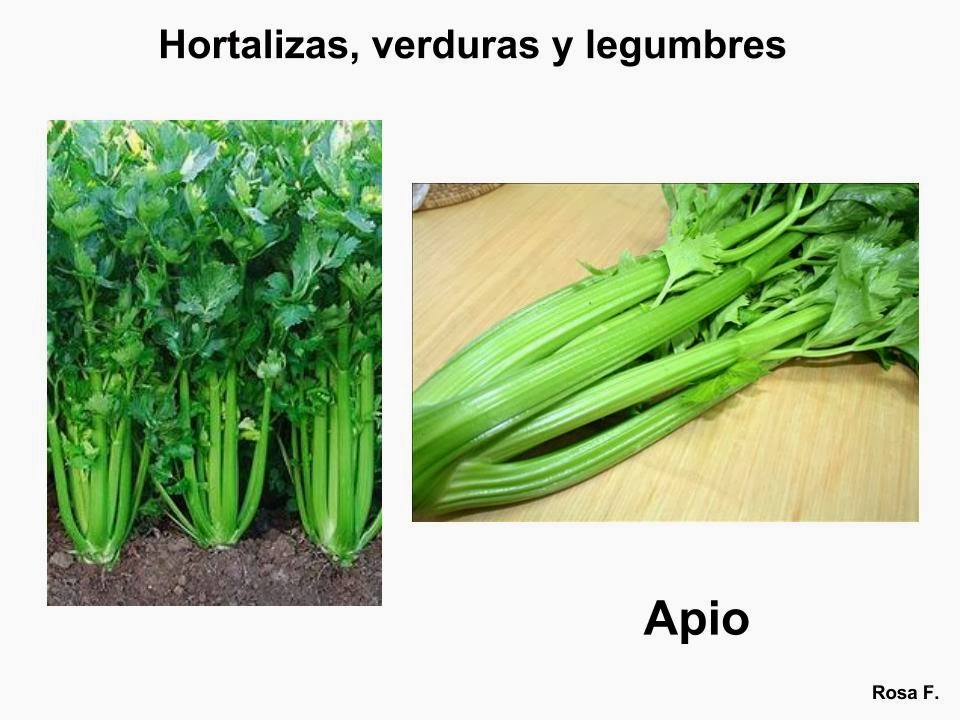 Maestra De Primaria Hortalizas Verduras Y Legumbres Para Imprimir Vocabulario En Imágenes