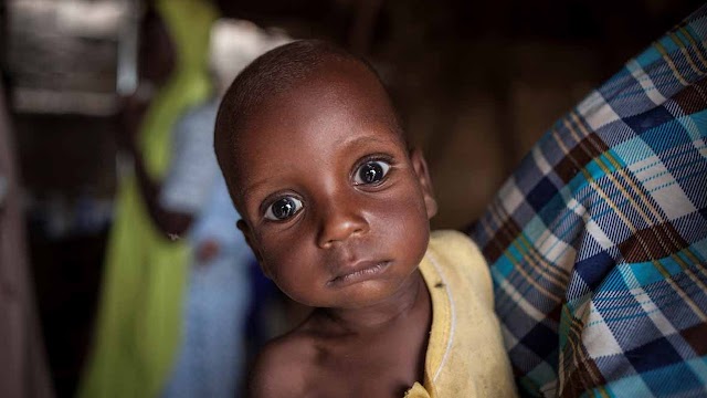 Famine looms in northern Nigeria, MSF warns