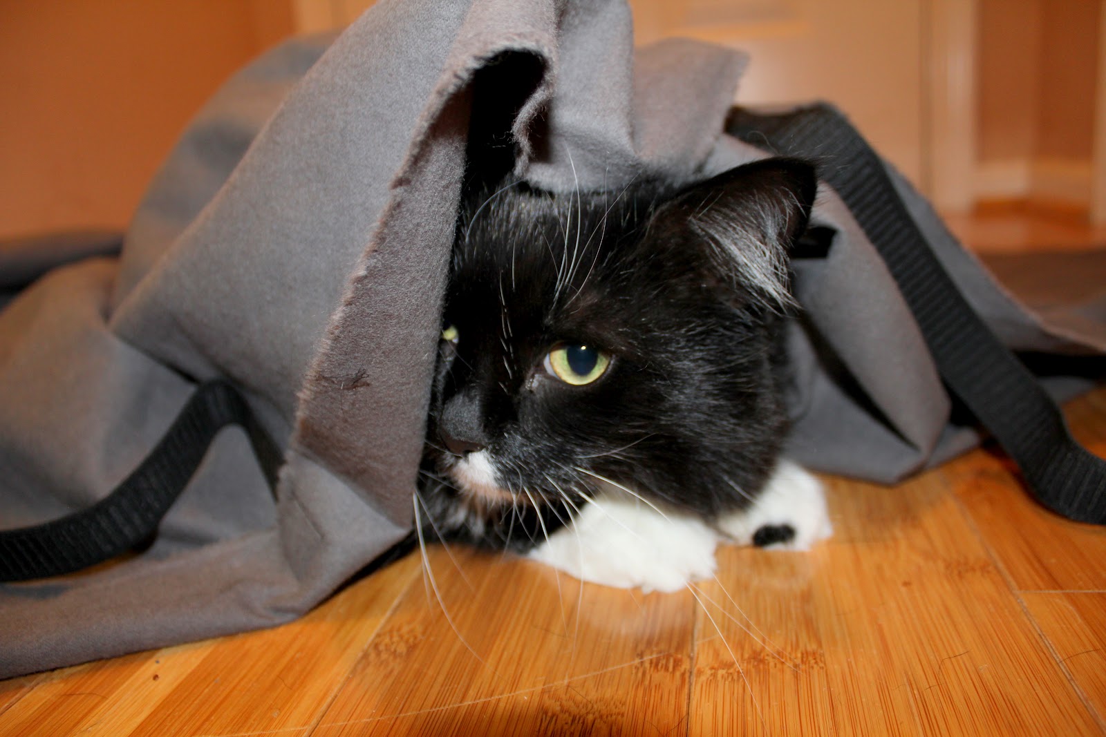 homevolution DIY Dog Car Seat Hammock