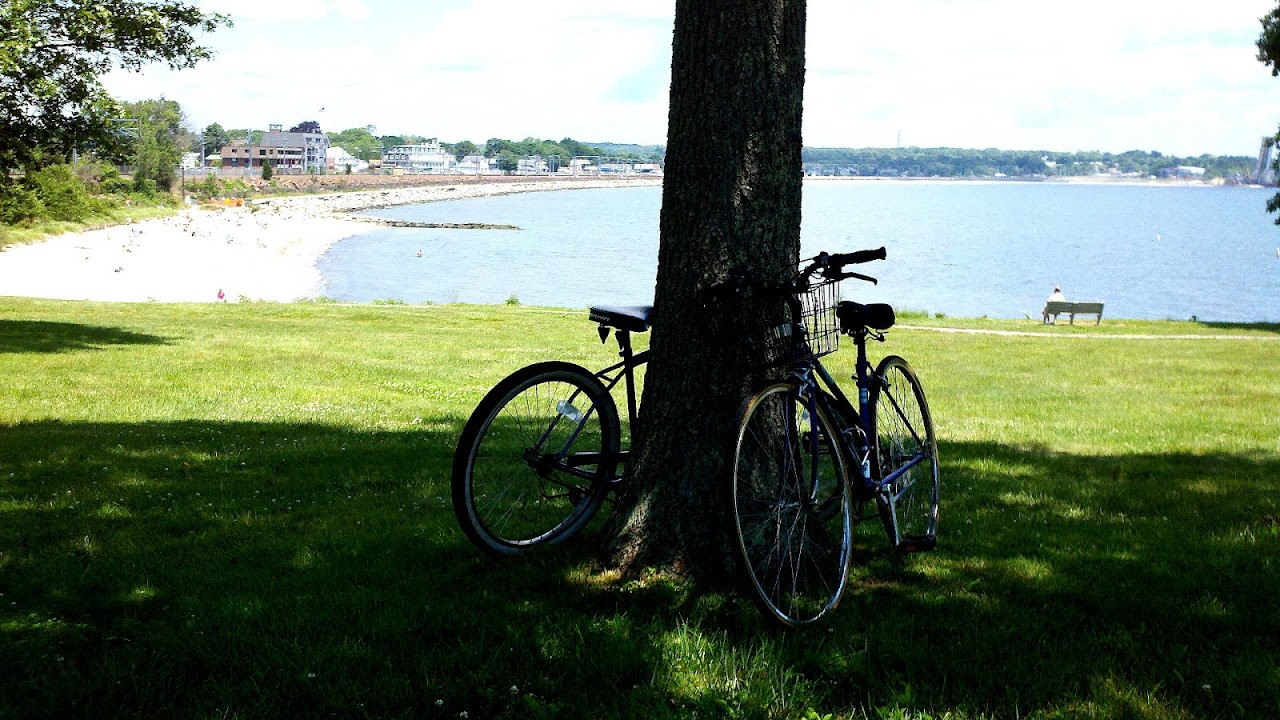 Vision Appraisal Putnam Ct Vision Choices