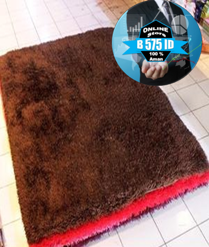 Karpet Bulu Untuk Ruang Tamu Murah Desain Minimalis Karpet
