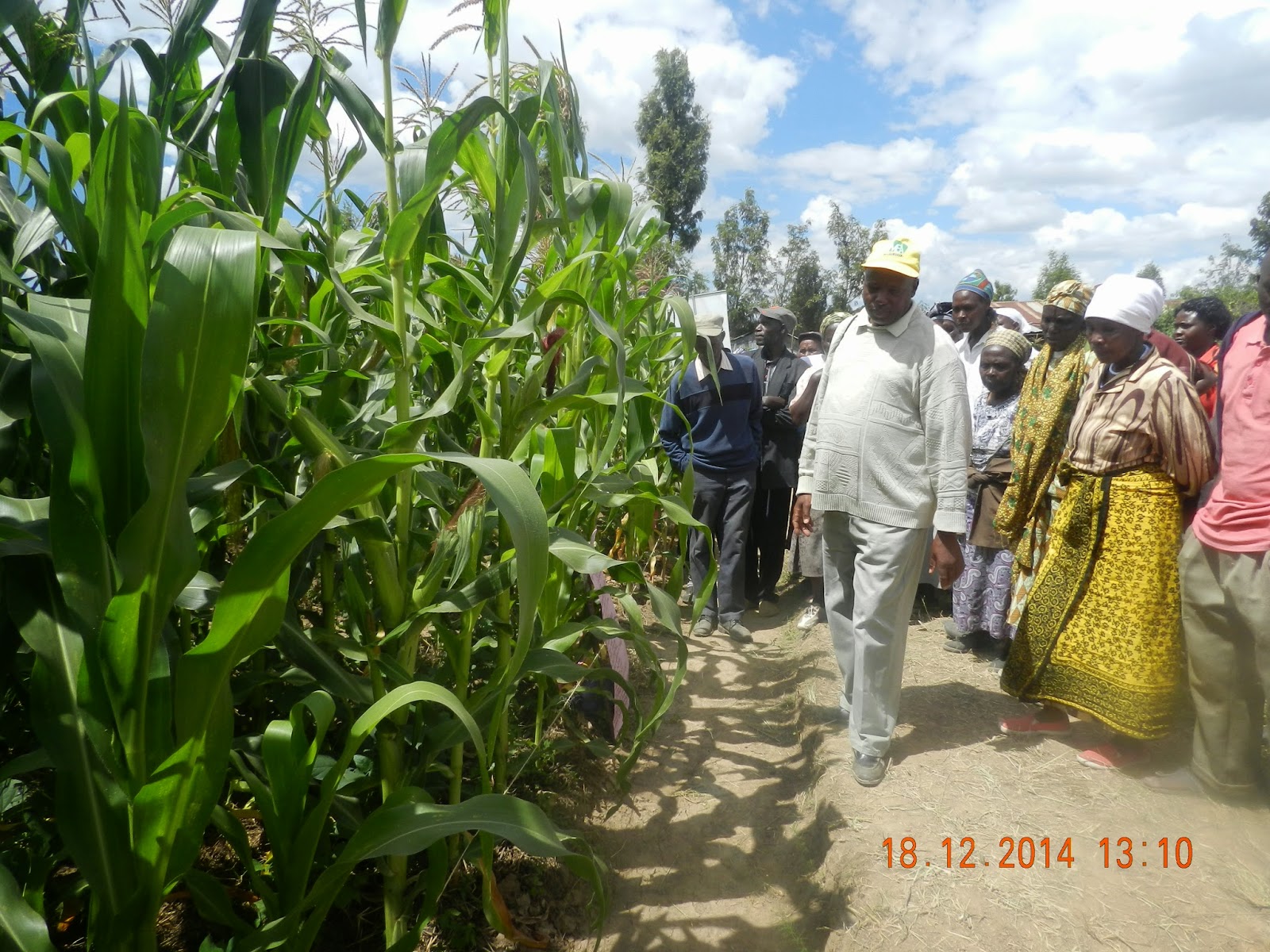 Conservation Agriculture Farmers in Laikipia East encouraged to adopt
