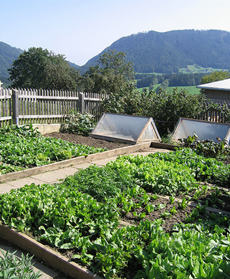 Organic Farming and Bioengineering