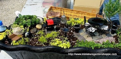 МИНИАТЮРНА ГРАДИНА